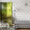 Rumsavdelare Arkiio Forest Lake 135x172 cm