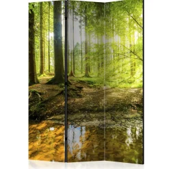 Rumsavdelare Arkiio Forest Lake 135x172 cm