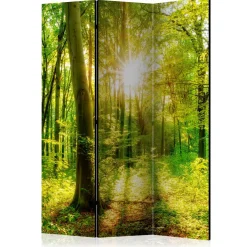 Rumsavdelare Arkiio Forest Rays 135x172 cm