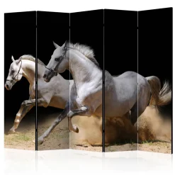 Rumsavdelare Arkiio Galloping Horses On The Sand II 225x172 cm