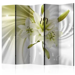 Rumsavdelare Arkiio Green Captivation II 225x172 cm