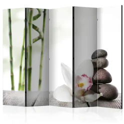 Rumsavdelare Arkiio Harmony II 225x172 cm