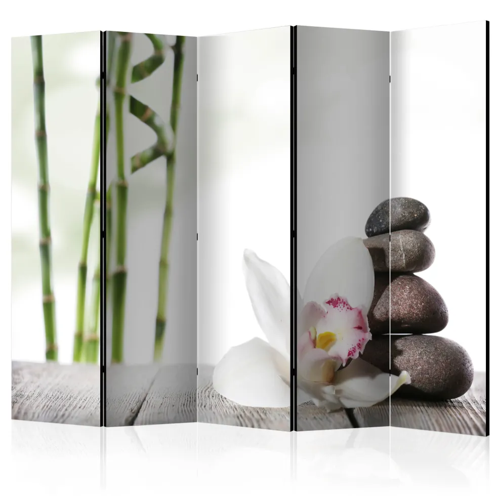 Rumsavdelare Arkiio Harmony II 225x172 cm