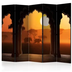 Rumsavdelare Arkiio Hear Africa II 225x172 cm