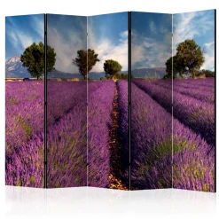 Rumsavdelare Arkiio Lavender Field in Provence France II 225x172 cm
