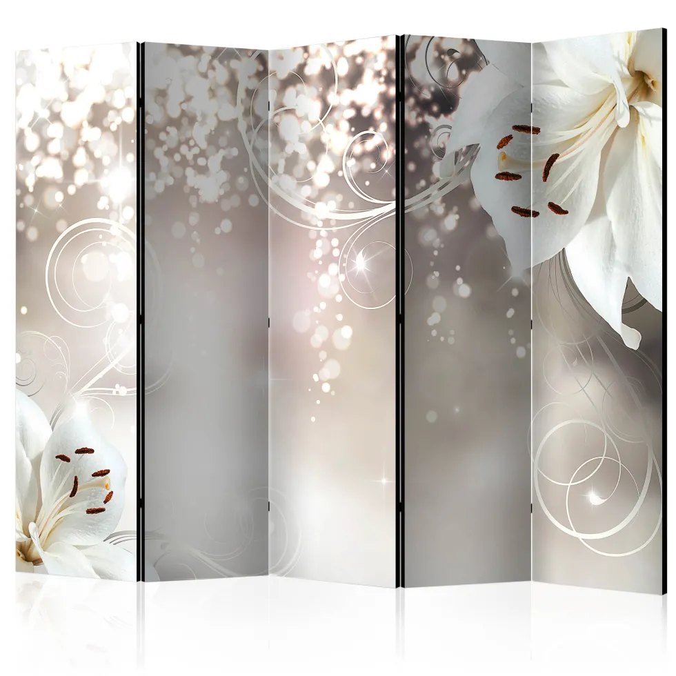 Rumsavdelare Arkiio Magic Composition II 225x172 cm