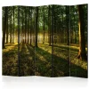 Rumsavdelare Arkiio Morning in the Forest II 225x172 cm