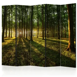 Rumsavdelare Arkiio Morning in the Forest II 225x172 cm