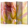 Rumsavdelare Arkiio Pastel Colored Dahlia Flower With Dew Drops II 225x172 cm