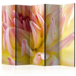 Rumsavdelare Arkiio Pastel Colored Dahlia Flower With Dew Drops II 225x172 cm