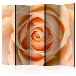 Rumsavdelare Arkiio Peach-Colored Rose II 225x172 cm