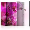 Rumsavdelare Arkiio Pink Orchid II 225x172 cm