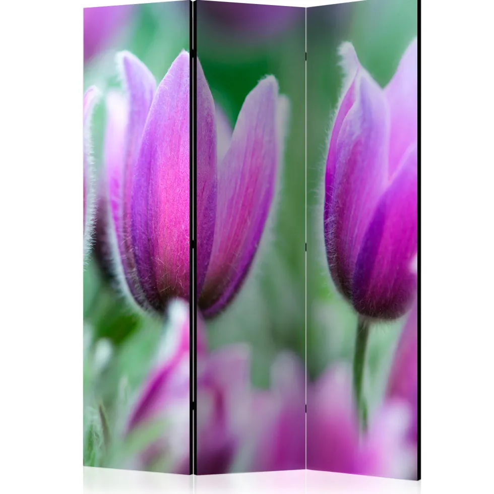 Rumsavdelare Arkiio Purple Spring Tulips 135x172 cm