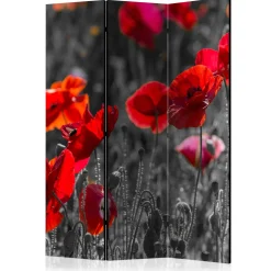 Rumsavdelare Arkiio Red Poppies 135x172 cm