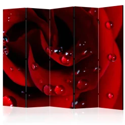 Rumsavdelare Arkiio Red Rose With Water Drops II 225x172 cm