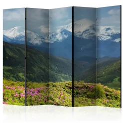 Rumsavdelare Arkiio Spring Mountain Landscape II 225x172 cm