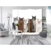 Rumsavdelare Arkiio Sweet Cats II 225x172 cm