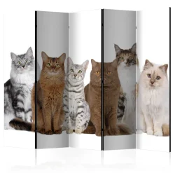 Rumsavdelare Arkiio Sweet Cats II 225x172 cm