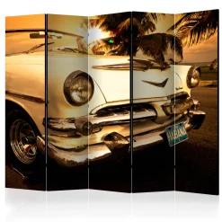 Rumsavdelare Arkiio Viva Havana! II 225x172 cm