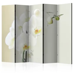 Rumsavdelare Arkiio White Orchid II 225x172 cm