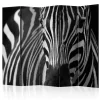Rumsavdelare Arkiio White With Black Stripes II 225x172 cm