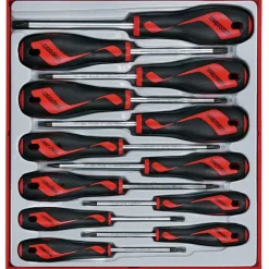 Skruvmejselsats 12 delar TX Teng Tools TTD912TXN