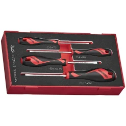 Skruvmejselsats Teng Tools 4-Delar TEAMD04N