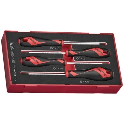 Skruvmejselsats Teng Tools TX TEAMD04TXN