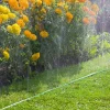 Sprinklerslang Gardena 15 m Grön