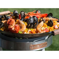 Stekhäll Gasol GrillSymbol PRO-460 i Kolstål, Robust & Kompakt med Vindskydd