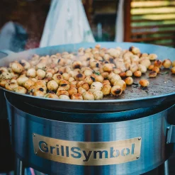 Stekhäll GrillSymbol Gasol PRO-580 Rostfritt Stål med Dubbla Brännare