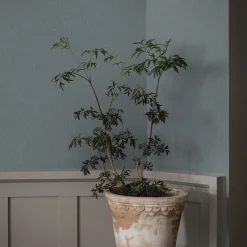 Tapet Boråstapeter Dusty Denim