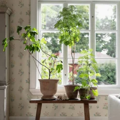 Tapet Boråstapeter Ängsflora 6951