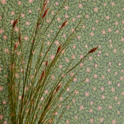 Tapet Eijffinger Posy 316055