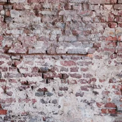 Tapet Living walls The Wall 38335-1