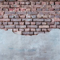 Tapet Living walls The Wall 38334-1