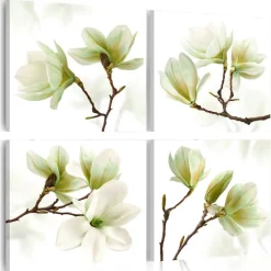 Tavla Arkiio Admiration Of Magnolia