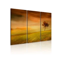 Tavla Arkiio A Lonely Tree On A Meadow
