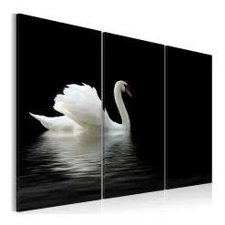 Tavla Arkiio A Lonely White Swan