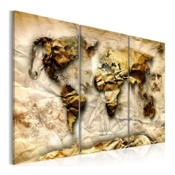 Tavla Arkiio Anatomy Of The World