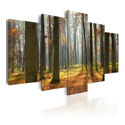 Tavla Arkiio A Nice Forest Landscape