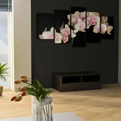 Tavla Arkiio An Orchid On A Contrasting Background