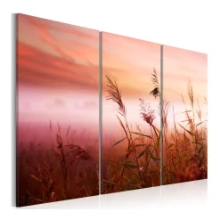 Tavla Arkiio A Silent Meadow