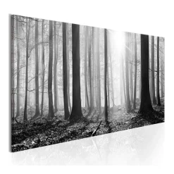 Tavla Arkiio Black and White Forest