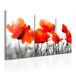 Tavla Arkiio Charming Poppies
