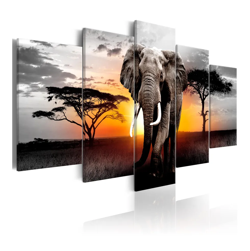 Tavla Arkiio Elephant at Sunset