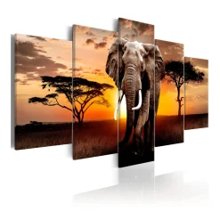 Tavla Arkiio Elephant Migration