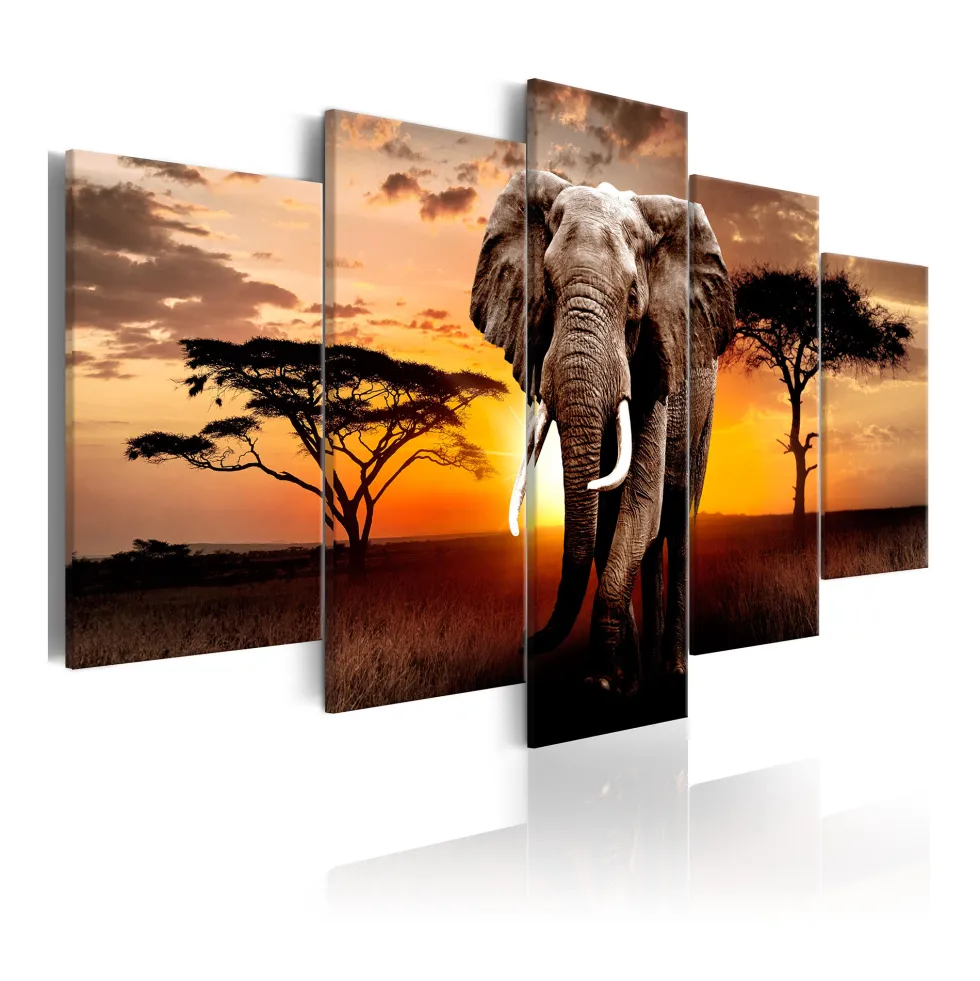 Tavla Arkiio Elephant Migration