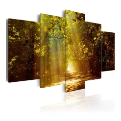Tavla Arkiio Forest In The Sunlight
