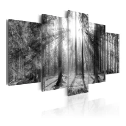 Tavla Arkiio Forest Of Memories